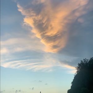 Meet your Posher, Kellie